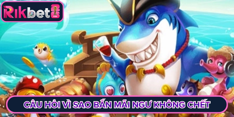 Giải mã câu hỏi vì sao bắn mãi ngư không chết