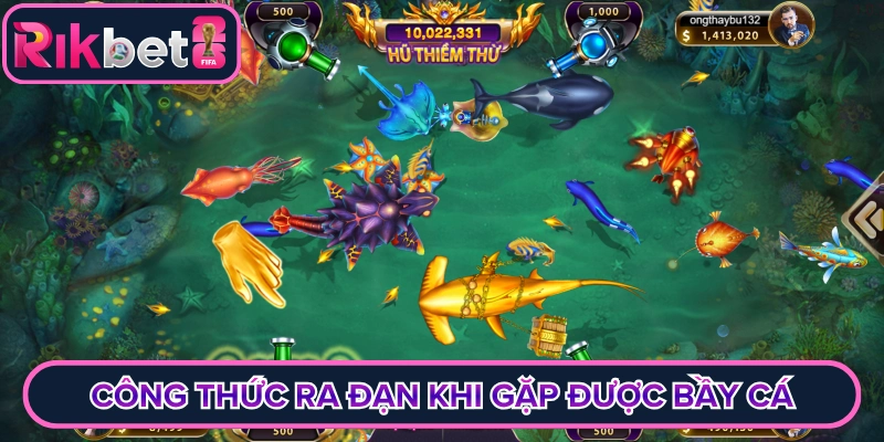 Công thức ra đạn khi gặp được bầy cá