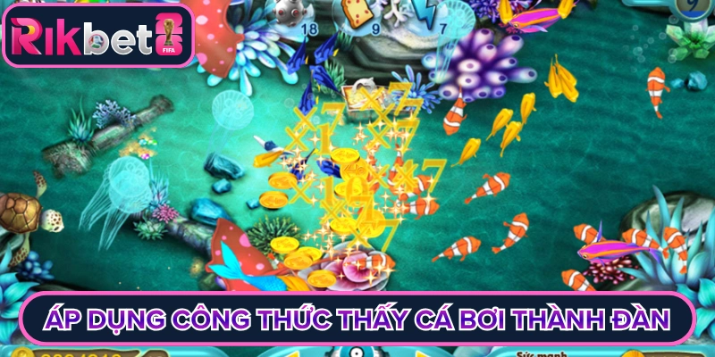 Áp dụng công thức khi thấy cá bơi thành đàn