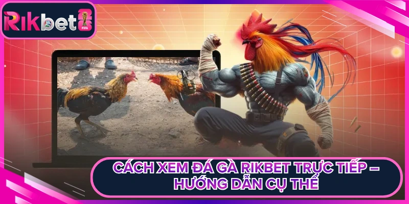 Cách Xem Đá Gà Rikbet Trực Tiếp – Hướng Dẫn Cụ Thể