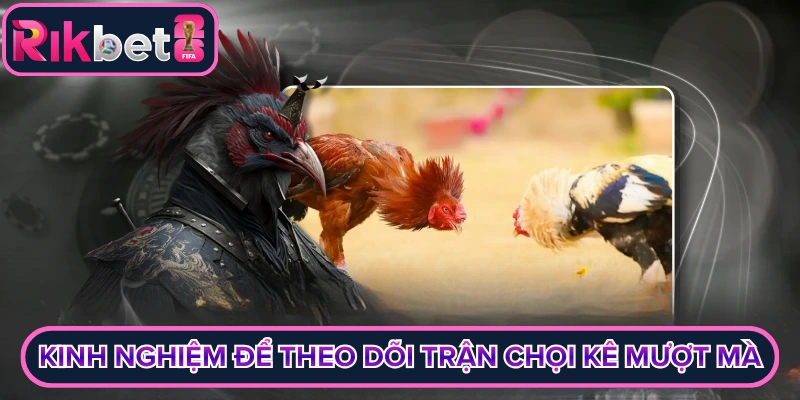Kinh nghiệm để theo dõi trận chọi kê mượt mà
