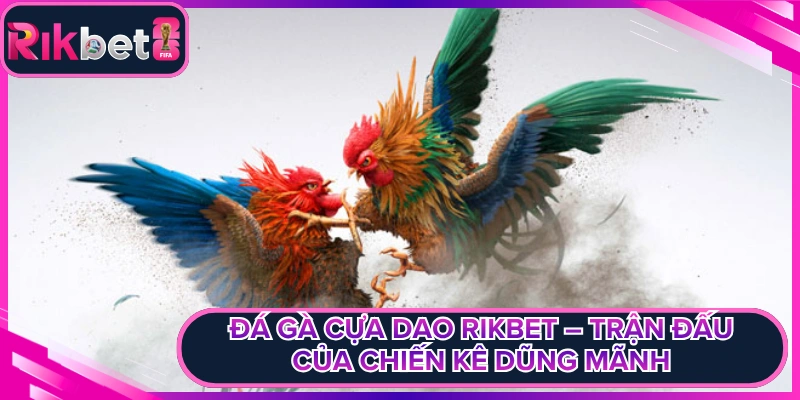 Đá Gà Cựa Dao Rikbet – Trận Đấu Của Chiến Kê Dũng Mãnh