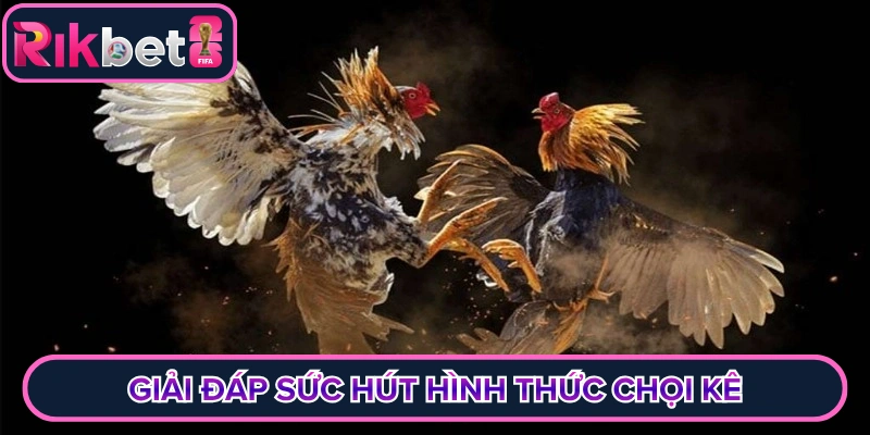 Giải đáp sức hút hình thức chọi kê