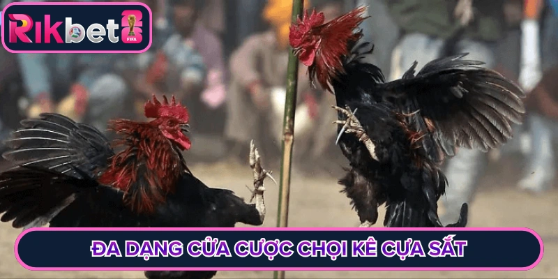 Đa dạng cửa cược chọi kê cựa sắt