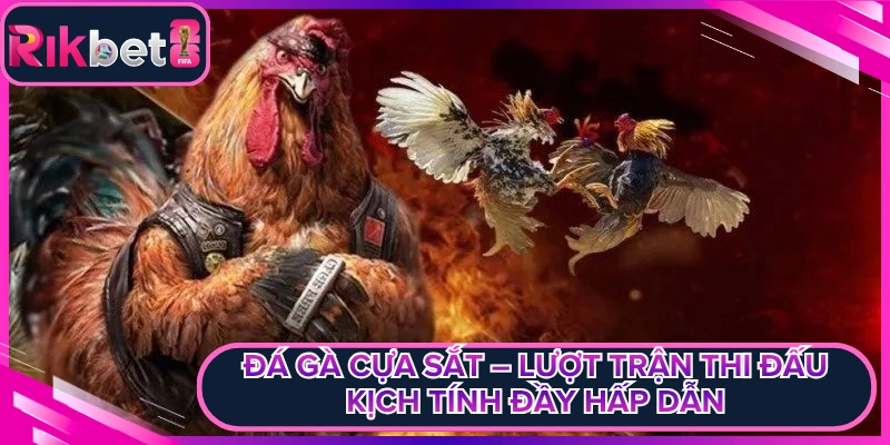 Đá Gà Cựa Sắt – Lượt Trận Thi Đấu Kịch Tính Đầy Hấp Dẫn