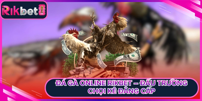 Đá Gà Online Rikbet – Đấu Trường Chọi Kê  Đẳng Cấp