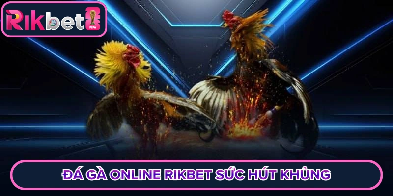 Đá gà online rikbet sức hút khủng