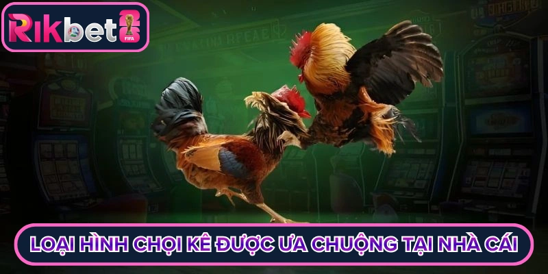 Loại hình chọi kê được ưa chuộng tại nhà cái