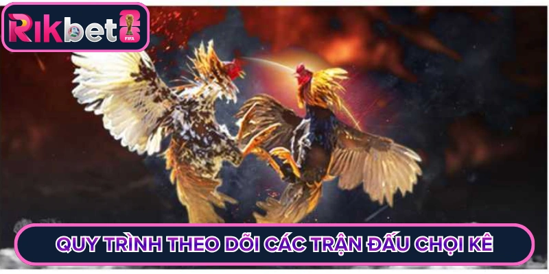 Quy trình theo dõi các trận đấu chọi kê