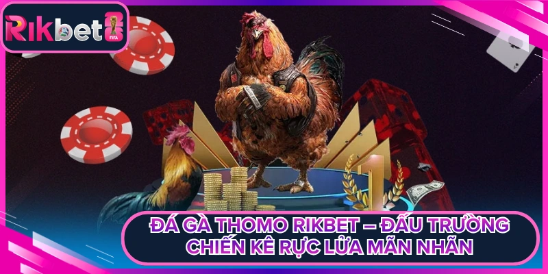 Đá Gà Thomo Rikbet – Đấu Trường Chiến Kê Rực Lửa Mãn Nhãn
