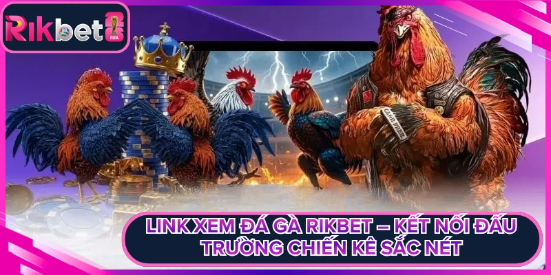 Link Xem Đá Gà Rikbet – Kết Nối Đấu Trường Sắc Nét