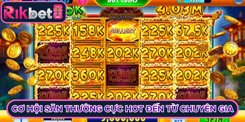 Cơ hội săn thưởng cực hot đến từ chuyên gia