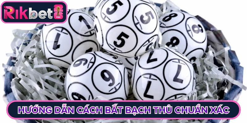 Hướng dẫn cách bắt bạch thủ chuẩn xác