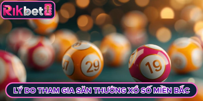 Xổ Số Miền Bắc Rikbet – Soi Cầu Lô Đề Trực Tuyến Uy Tín